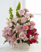 Load image into Gallery viewer, Beautiful Spirit