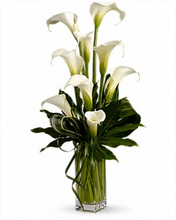 Load image into Gallery viewer, My Fair Lady
