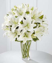 Load image into Gallery viewer, Spirited Grace Lily