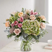 Load image into Gallery viewer, Enchanting