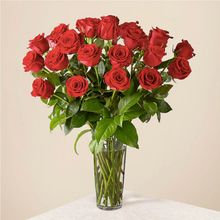 Load image into Gallery viewer, Long Stem Red Rose Bouquet
